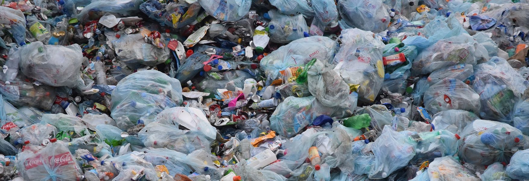 Un planeta sin plástico 🌎 5 alternativas sostenibles
