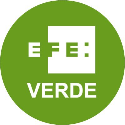 Logo EFE verde
